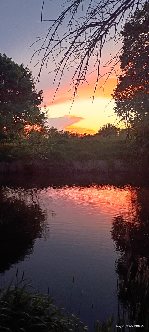 Sunset River