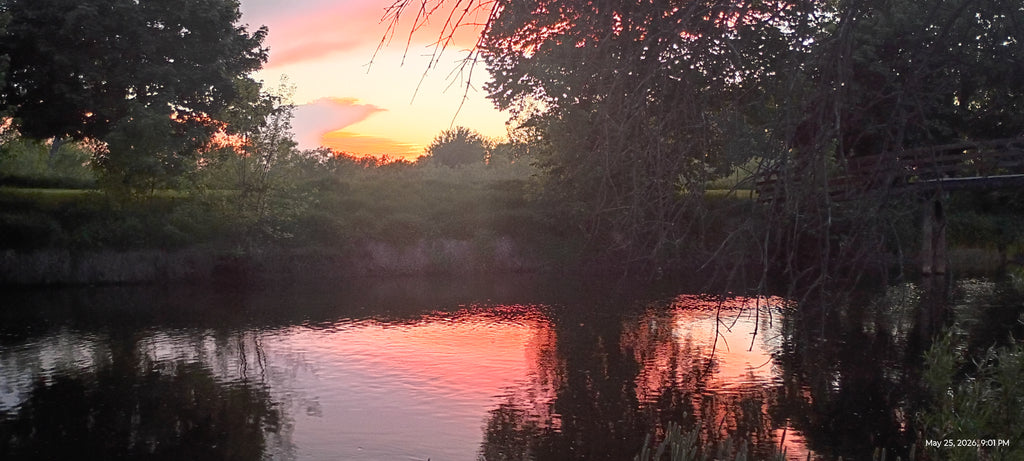 Sunset River